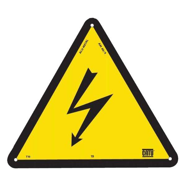 CAT AM49/1   TRIANGLE ALU 100 ECLAIR