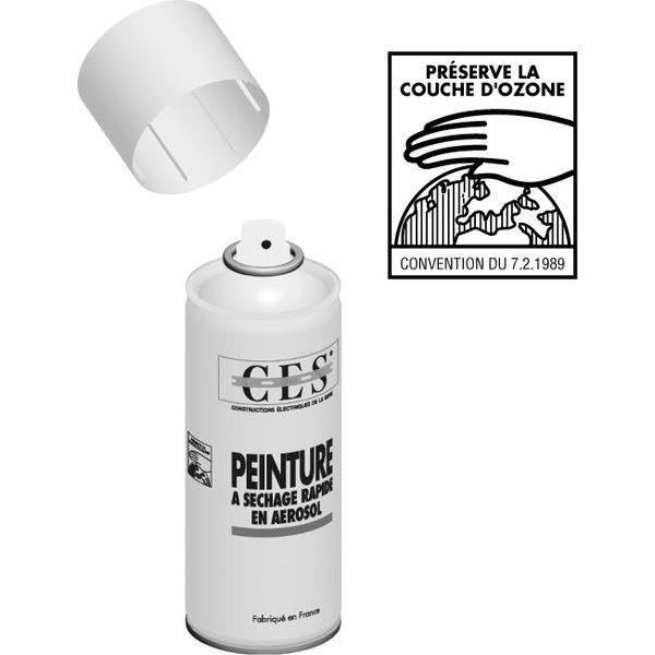 BOMBE AEROSOL BLEU 49 RAL 5013